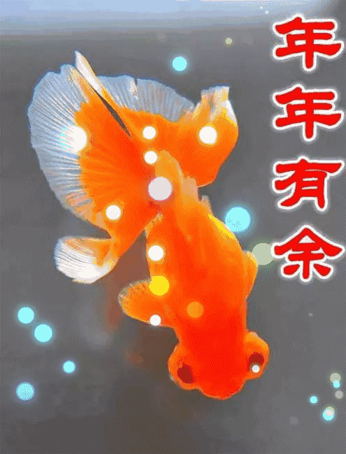 495_650竖版 竖屏gif 动态图 动图