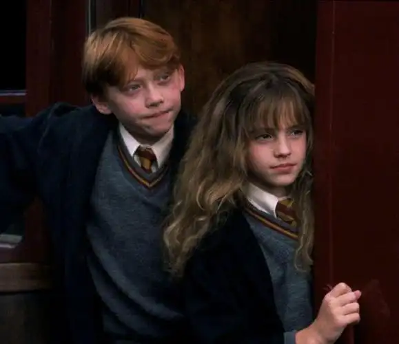 为什么赫敏与罗恩最后在一起让哈赫党失望了