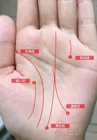 什么样的手相最有福气代表富贵的手相