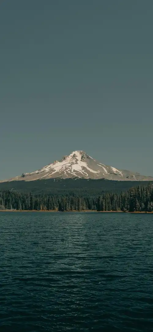 1440_3120竖版 竖屏