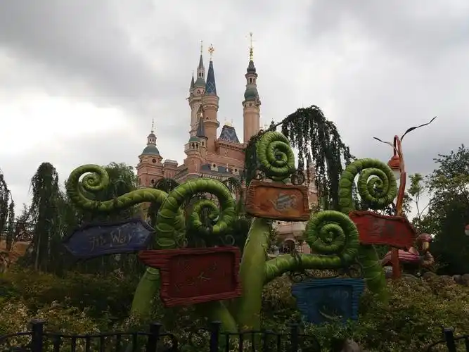 爱丽丝梦游仙境迷宫