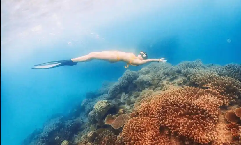 前港姐冠军30岁生日送大礼晒红色超性感比基尼洪永城大赞火辣