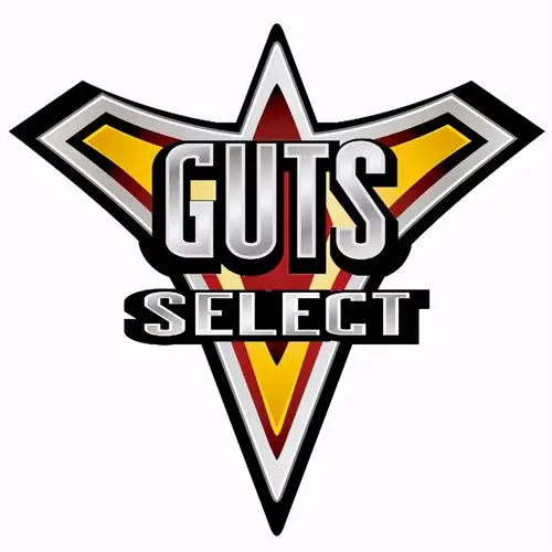 特利迦奥特曼队长登场,竟然是战队红战士