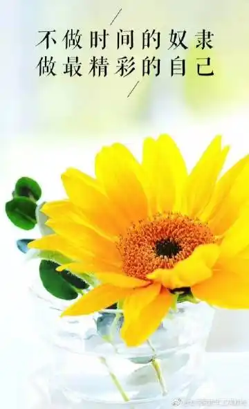 给自己一份自信,不浮不躁;给自己一份洒脱,静静思,淡淡行,无论何时何