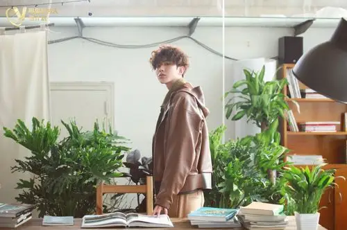 清新帅气蔡徐坤壁纸魅力忧郁蔡徐坤