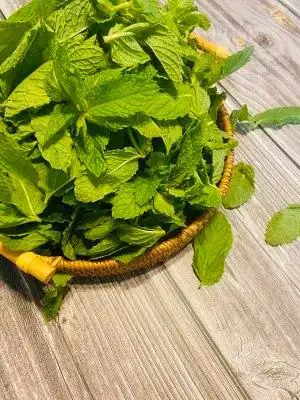 step1,新鲜可食用薄荷,摘取叶片,洗干净平铺晾干水分