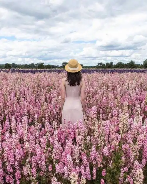 马尾背影女头像唯美图片