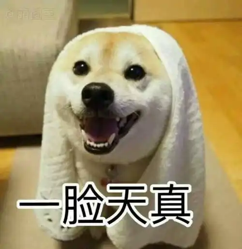 doge斗图啦表情包
