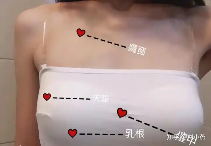 刘燕酿制:经期饮食按摩丰胸法,迷人美胸不是梦