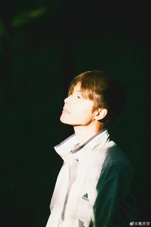 马天宇养了三四百只鸡