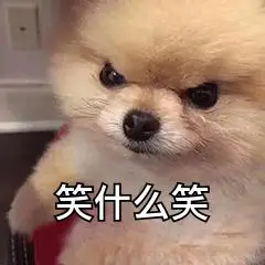 熊猫头止不住的笑表情-表情图片-搞笑图片表情包-表情包网站