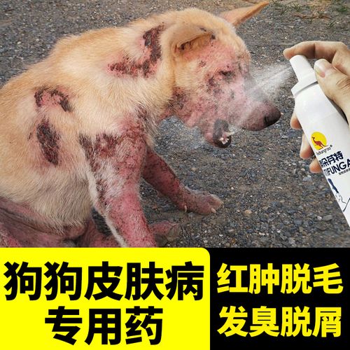 宠物狗狗真菌皮肤病治疗金毛泰迪身上有掉毛狗藓止痒专用喷剂 痒专用