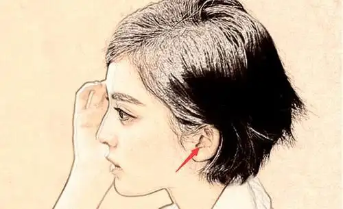 这种耳形的人,脾气比较的糟糕,聚财能力比较弱,一生非常的辛苦