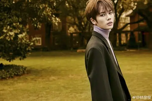 林彦俊 2019.1.14 如火如荼(tú)