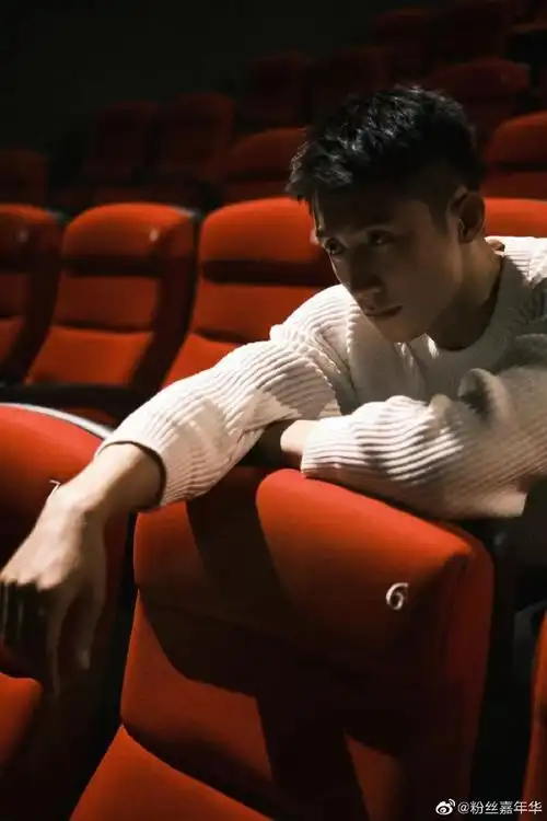 黄景瑜舞台上下光影大片