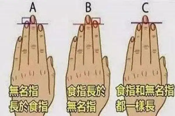 一般情况下人的五根手指头是明显长短不一的,若五指之中食指和中指一