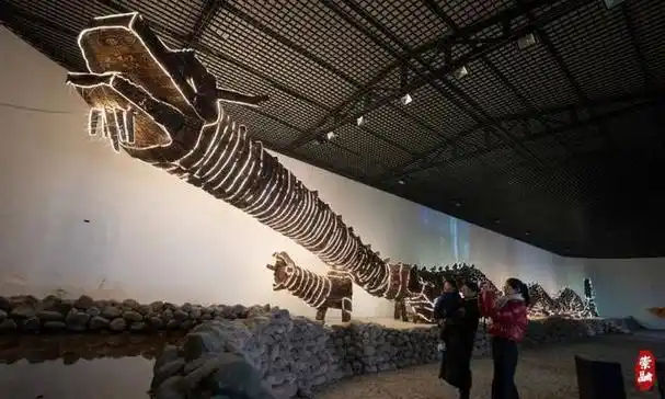 崇明春节超热闹|龙_新浪财经_新浪网