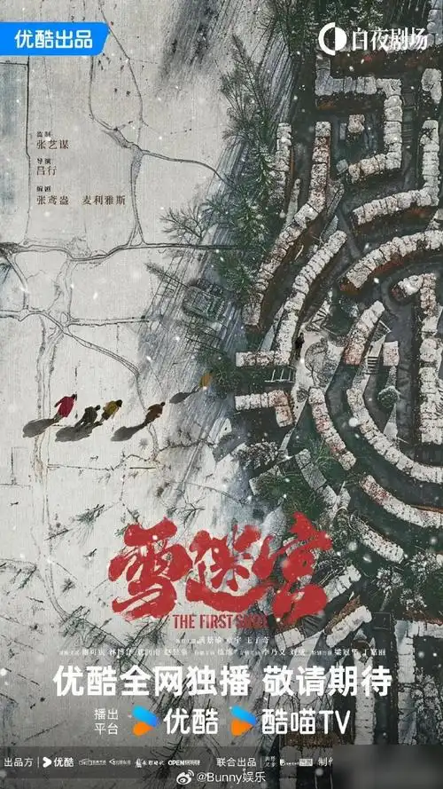 由黄景瑜,章宇,王子奇,谢可寅主演的《雪迷宫》下证了