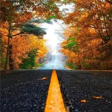 首页123456下一页站内推荐男生高质量风景头像4k好看男头像头像高清4k