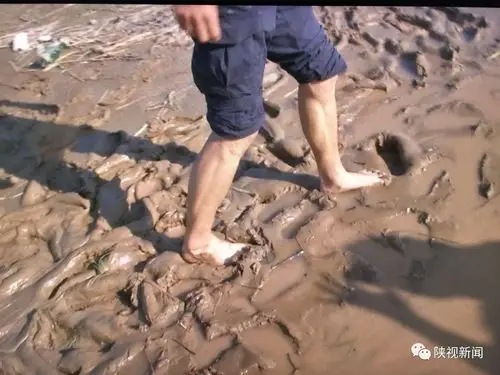 旅游 正文 沿黄观光路渭南段 一位别具诗意的游客曾经形容说,绵软的