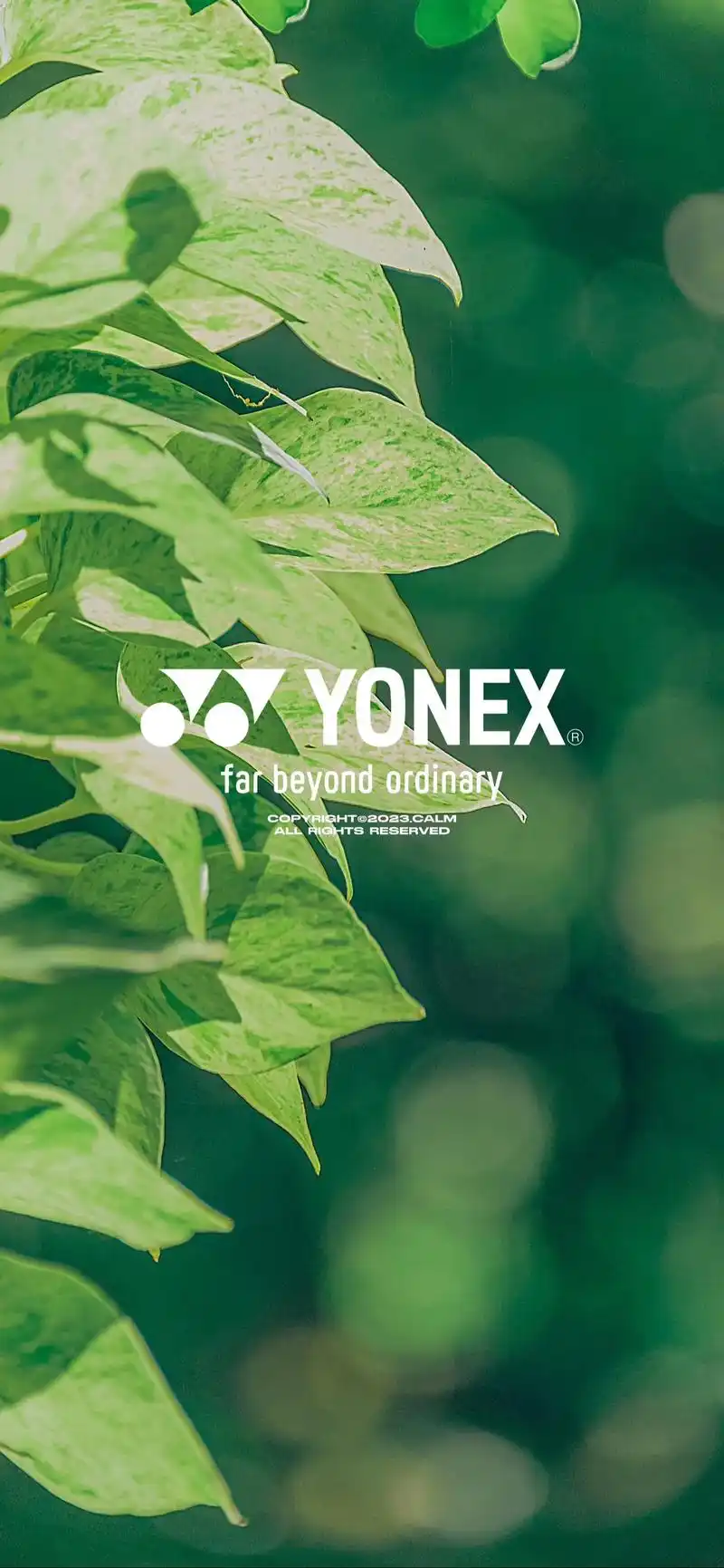 羽球人4k护眼壁纸#羽毛球壁纸 #羽毛球壁纸 - 抖音