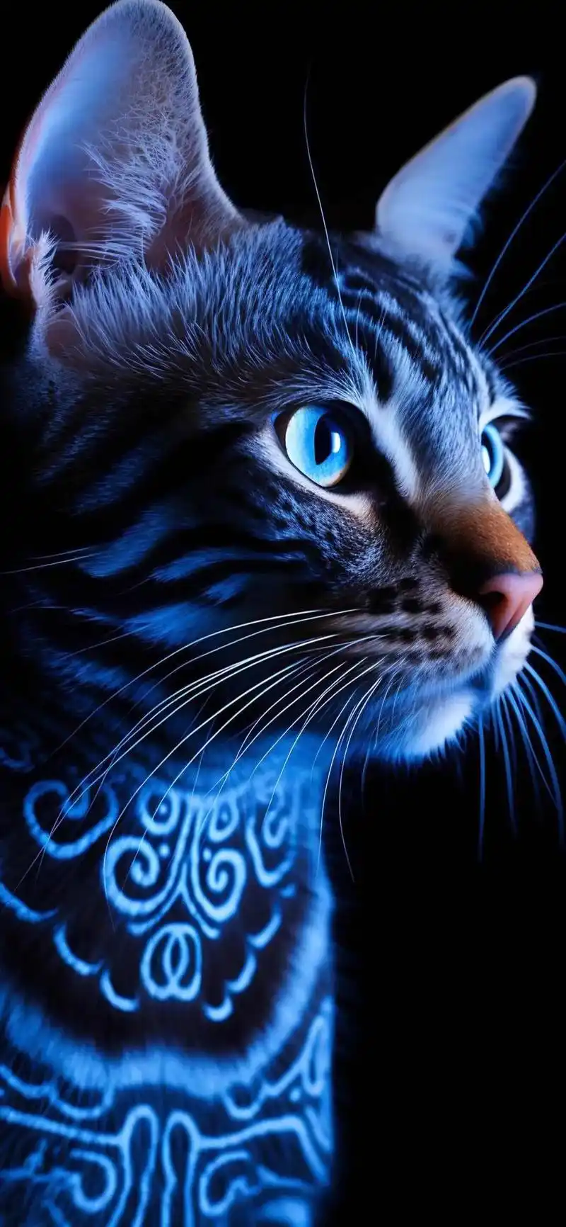 2024最火壁纸图片最新款,手机壁纸,龙年壁纸,苹果壁纸,i - 抖音