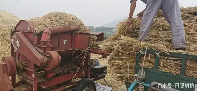 在日照三庄镇看到了小时候常见的小麦脱粒机