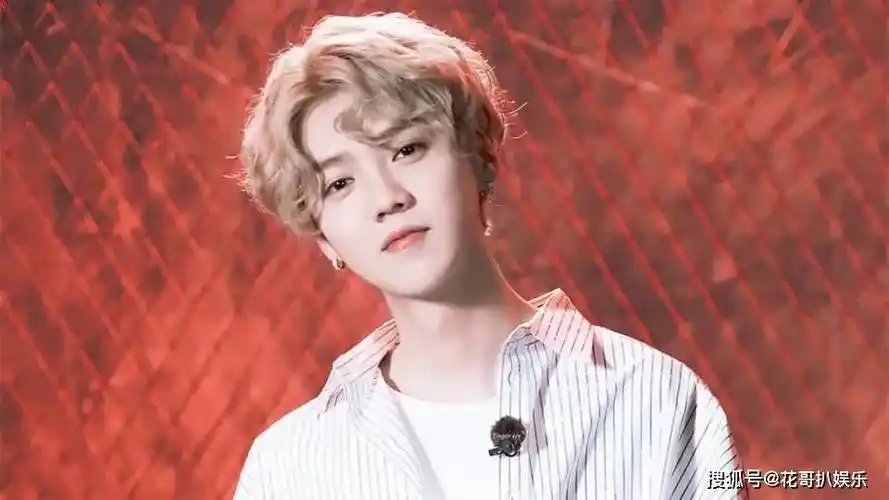 鹿晗官宣音乐节活动,被网友嘲讽,与选秀成员同台表演引来质疑声