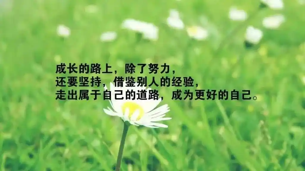 有深度有涵养的励志句子图片