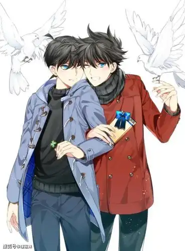 精选高清壁纸怪盗基德与新一