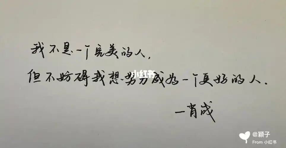 手写分享肖战语录