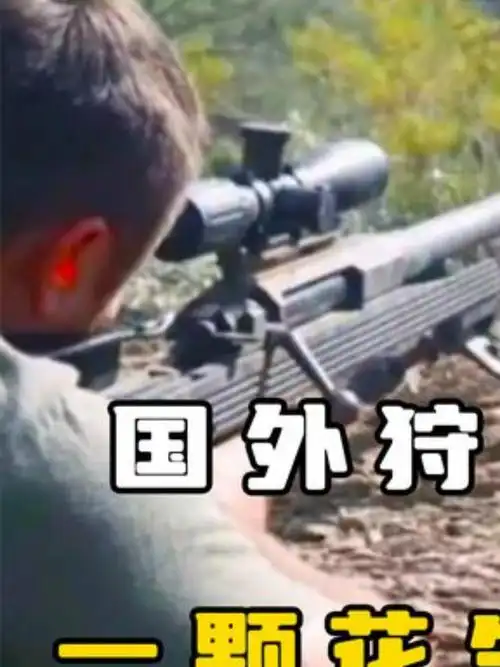 老外猎杀野猪大战:开飞机,用大炮,泥潭里也逃不过!