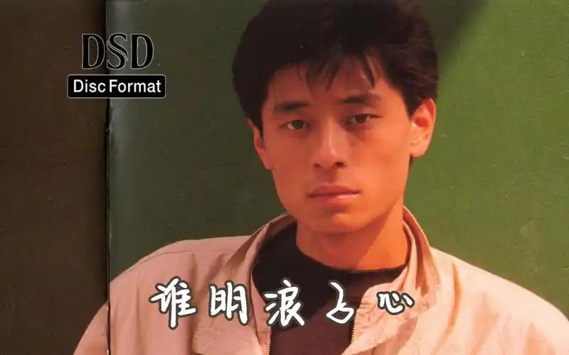 【dsd音乐】王杰《谁明浪子心》个人私藏版,粉丝约稿车载音乐粤语经典