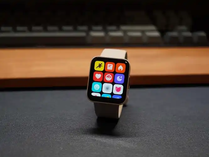 redmi手表2能算是入门级智能手表的天花板吗