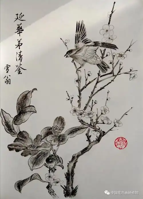 国画名家素描作品之花鸟篇