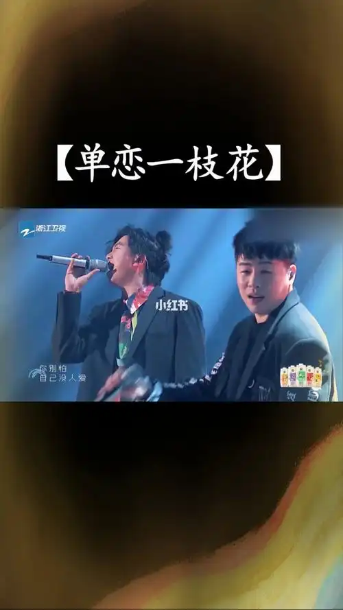 胡彦斌白举纲单恋一枝花这歌有点烫嘴