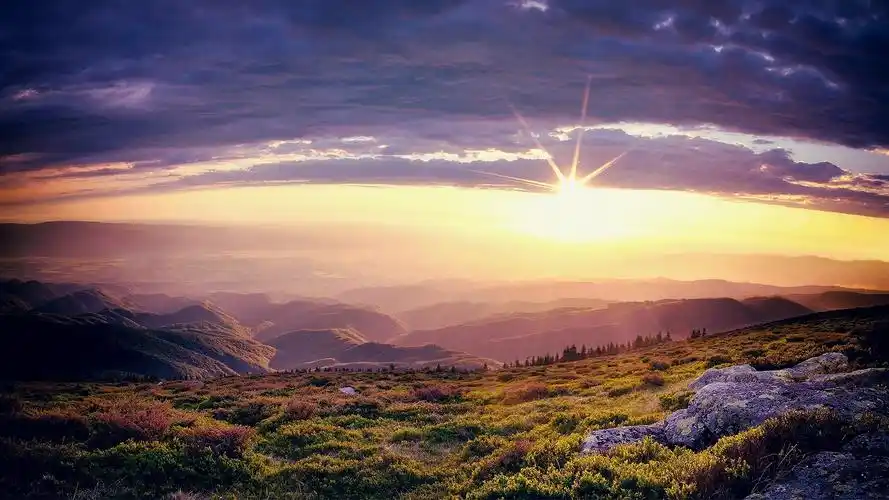 和平精英几指操作最好?-电脑设置问题-东森it信息网