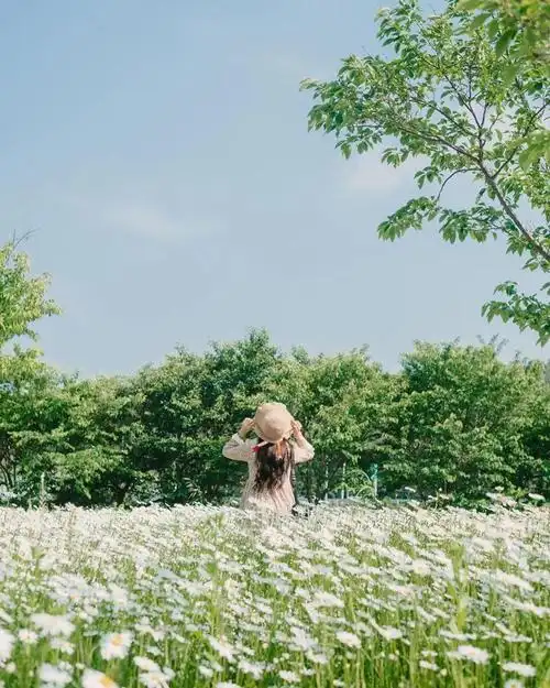 给大家整理了一套拍照公式,怎么拍都很自然!