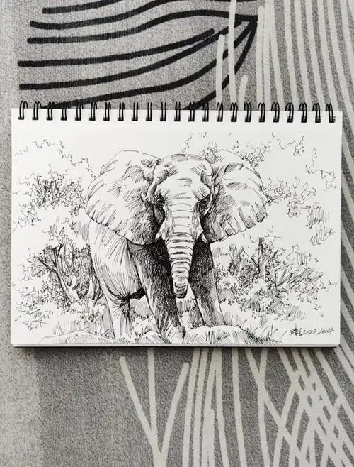 画张速写大象动物与植物组合