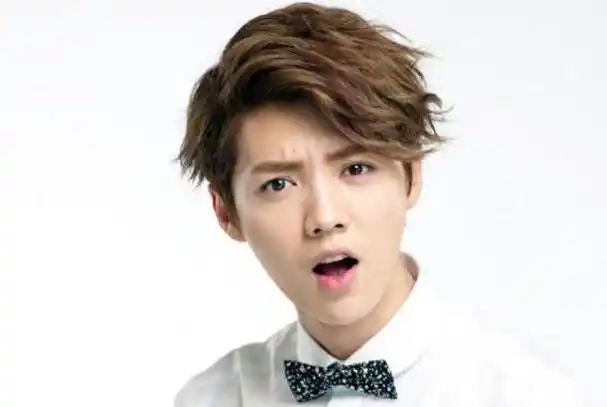 鹿晗的家庭背景成为人们猜测的焦点,但他的个人努力才是他成功的关键.