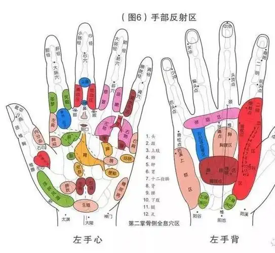 手掌按摩法,按手掌,治百病!