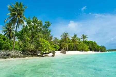 马尔代夫海岛美丽的沙滩在无人居住的海岛在印度洋, 马尔代夫照片