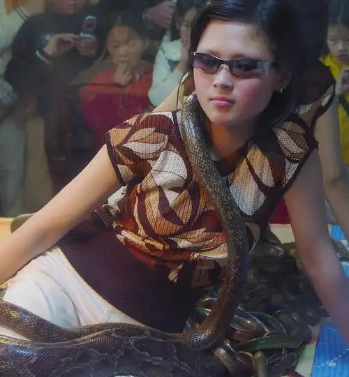 美女与蛇(胆小莫入)