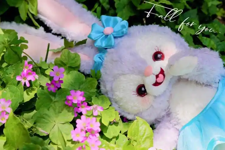 星黛露壁纸花与小兔