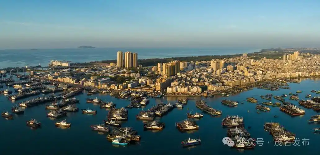 茂名滨海新区奏响高质量发展海洋之声