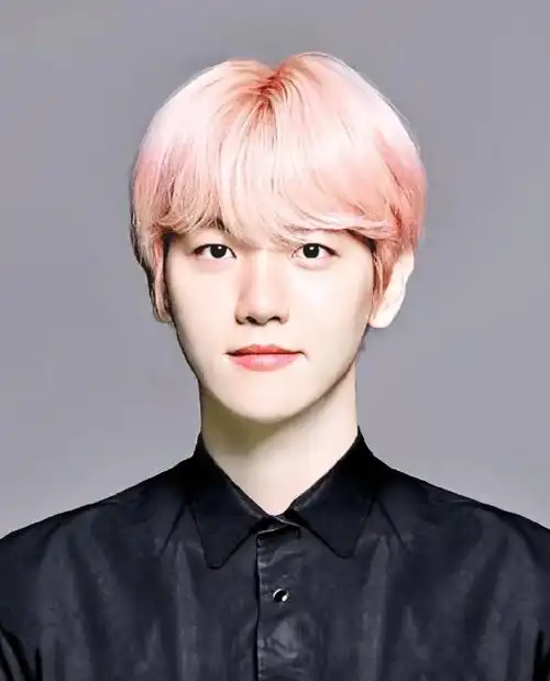 边伯贤#证件照好看的秘诀是脸