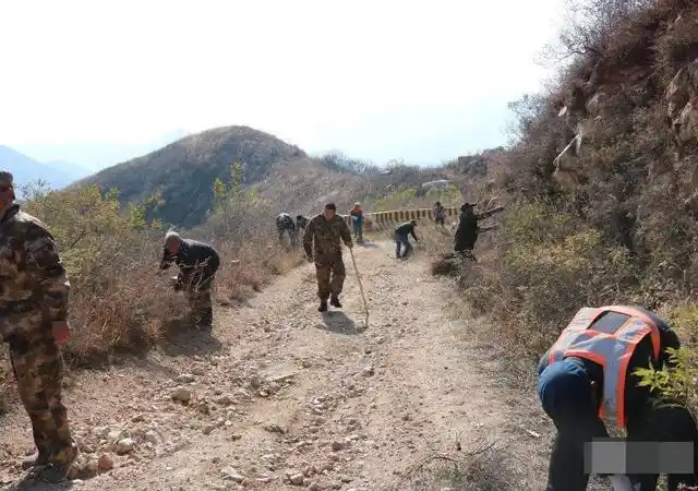 森林防火隔离带设置的法律依据是什么?设置规范又有哪些呢?-好律师网