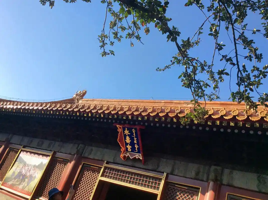 永寿宫 翊坤宫 延禧宫 螽斯门 哪个甄嬛传学者的dna动了# - 抖音