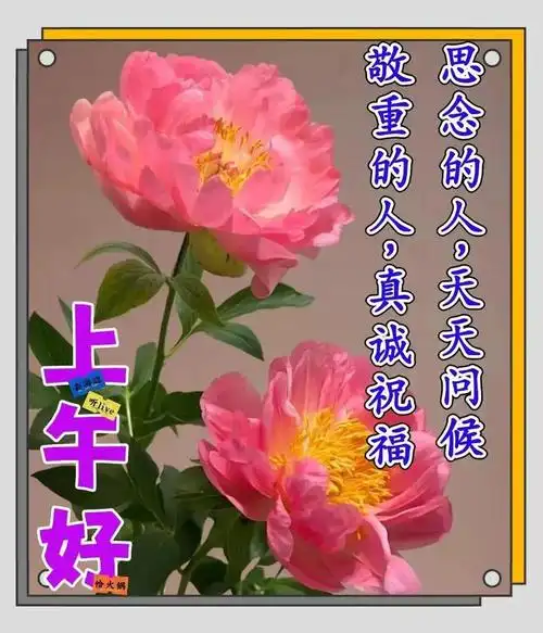 早上好祝福图片暖心的早上好问候祝福语