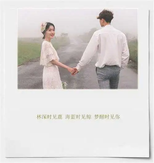 形容嫁给爱情的句子